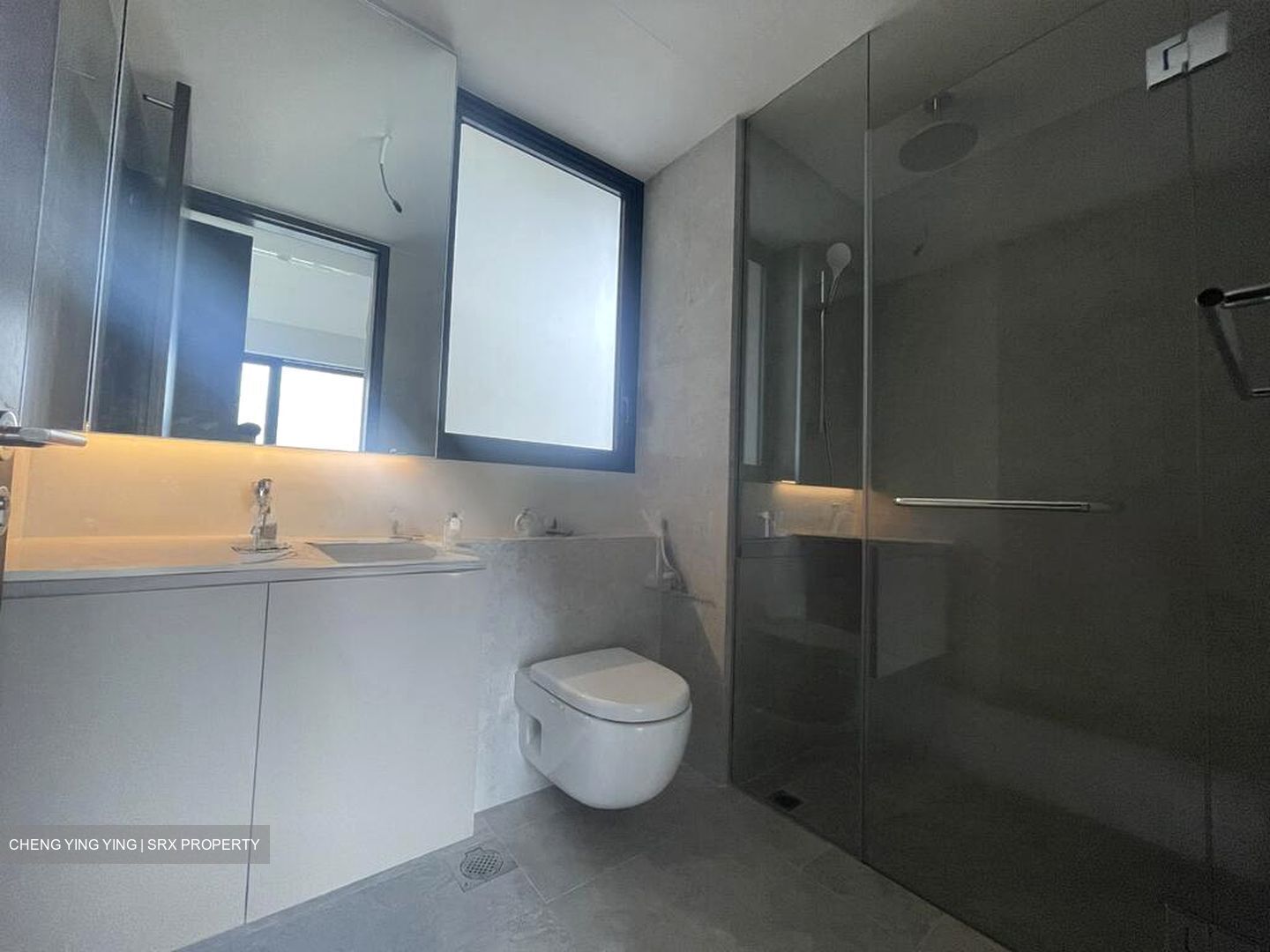Tenet (D18), Condominium #498584381